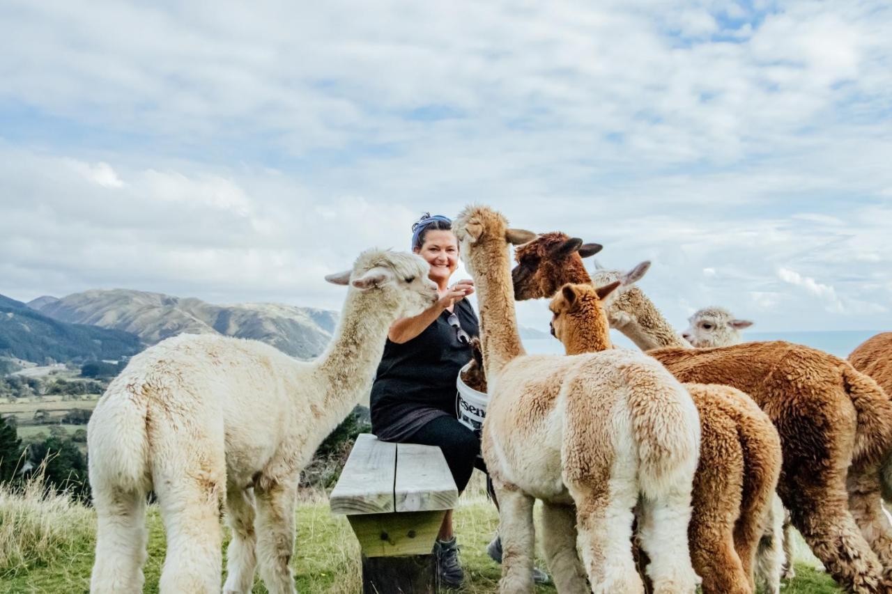 Luxury Stay, Alpaca Farm ปาราปาราออมู ภายนอก รูปภาพ